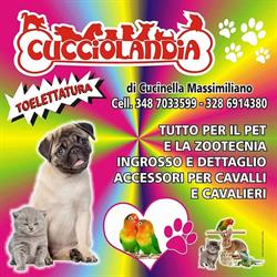 CUCCIOLANDIA DI CUCINELLA MASSIMILIANO, Partinico orari di apertura