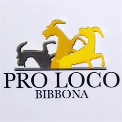 Pro Loco Bibbona, orari di apertura