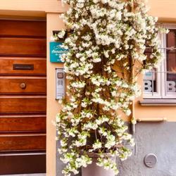 B&B Annabella, Parma orari di apertura