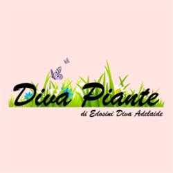 Diva Piante di Adelaide Edosini, Quartu Sant'Elena orari di apertura
