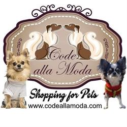 Code alla Moda, Torino orari di apertura