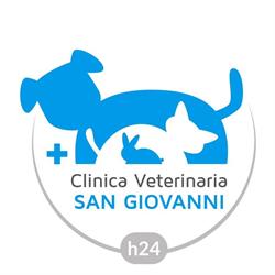 Clinica Veterinaria San Giovanni H24, Roma orari di apertura