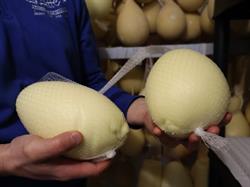 Caseificio artigianale Biancolatte, Termoli orari di apertura