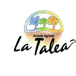 La talea, Firenze orari di apertura