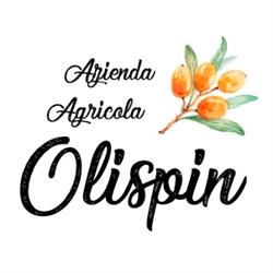 OLISPIN - Società agricola - OLIVELLO SPINOSO, Mortegliano orari di apertura
