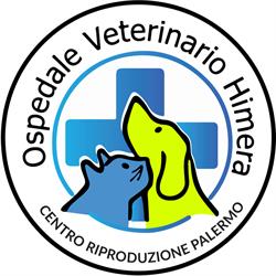 Ospedale veterinario "Himera", Palermo orari di apertura
