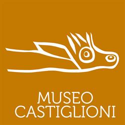 Museo Castiglioni, Varese orari di apertura