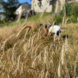 AZIENDA AGRICOLA TERRE AROMATICHE DI NANI STEFANO, Chiesa in Valmalenco orari di apertura