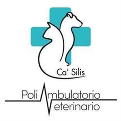 Poliambulatorio Veterinario Ca'Silis del Dr. ONGARO, Jesolo orari di apertura