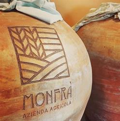 Monfrà - azienda vitivinicola, Vignale Monferrato orari di apertura