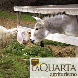 Agriturismo La Quarta, Fermo orari di apertura