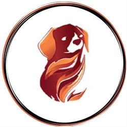 Firedog - Assistenza Tecnica Informatica, Sant'Anastasia orari di apertura