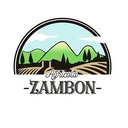 ZAMBON MARCO, Monselice orari di apertura
