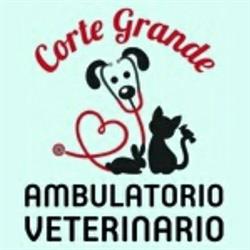 Ambulatorio Veterinario Corte Grande, Gessate orari di apertura