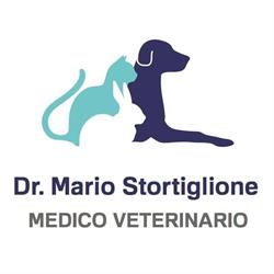 Ambulatorio veterinario - Dr. Mario Stortiglione, Borgomanero orari di apertura