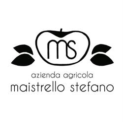 Stefano Maistrello, Schio orari di apertura