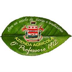 Azienda Agricola O' Professore 1912, Piano di Sorrento orari di apertura