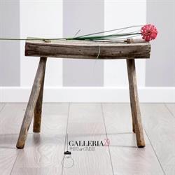 Galleria 29 di Francesca Valeri, Villa Potenza orari di apertura