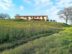 La Sosta di Braccio, Castiglione del Lago orari di apertura