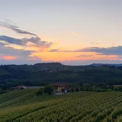Azienda Agricola Avignolo di Famiglia Chiapella, Dogliani orari di apertura