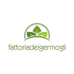 Fattoria dei Germogli di Jiang Congcong, Campi Bisenzio orari di apertura