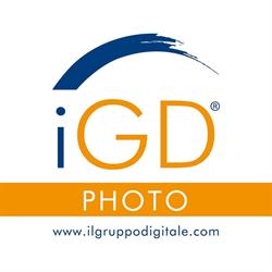 Il Gruppo Digitale, Torino orari di apertura