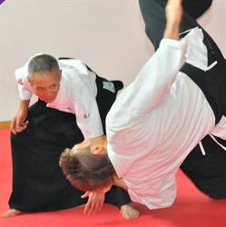 Aikido rovigo aishinkan, Rovigo orari di apertura