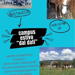 Gli Amici di Furino, Pietrasanta orari di apertura
