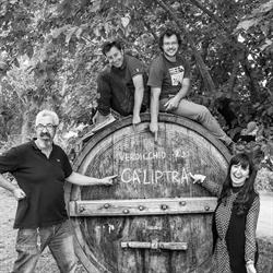 Ca'Liptra Azienda Agricola s.s., Cupramontana orari di apertura
