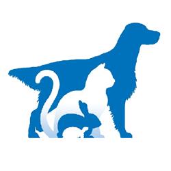 Ambulatorio Veterinario Legnanovet, orari di apertura