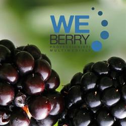 We Berry, Bologna orari di apertura