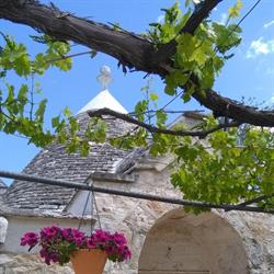 B&B IL COSMO, Fasano orari di apertura