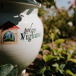 Podere Vigliano Barberino Tavarnelle, Tavarnelle Val Di Pesa - Orari di apertura