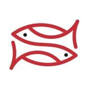 Scirocco – Sicilian Fish Lab, Catania orari di apertura