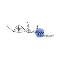 PCR LABORATORI SOCIETA' A RESPONSABILITA' LIMITATA SEMPLIFICATA, Marcon orari di apertura