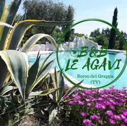 B&B LE AGAVI, Borso del Grappa orari di apertura