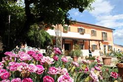 Casale Shanti, Piedimonte San Germano orari di apertura