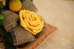 Bed & Breakfast Antico Borgo Teresiano, Trieste orari di apertura