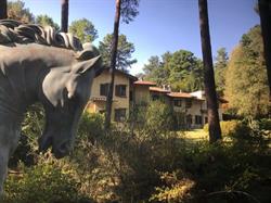 CASA NEL BOSCO - B&B, Vergiate orari di apertura