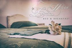 Bed and Breakfast Nonna Loreta, Formello orari di apertura