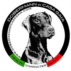 Allevamento Amatoriale Dobermann Roma "Di Casa Gaia", Palombara Sabina orari di apertura