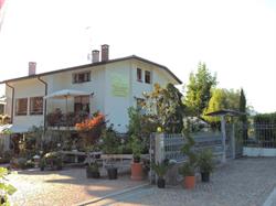 OASI DEL VERDE S.A.S. DI GENNARO DE VITA, Magnano in Riviera orari di apertura