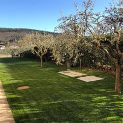 L'ARTE DEL GIARDINO DI MASINI SIMONE & C. SNC, Firenze orari di apertura