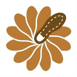 Due Emme S.r.l., Monsummano Terme orari di apertura