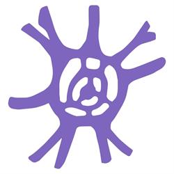 Associazione di Psicologia "Solis" aps, Caserta orari di apertura