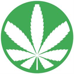 DoIs GrowShop, Palermo orari di apertura