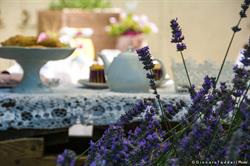 La Lavanda del Borgo, Sirolo orari di apertura