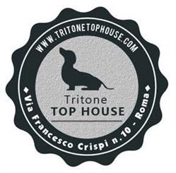 Tritone Top House, Roma orari di apertura