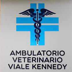 Ambulatorio Veterinario Viale Kennedy, Pescara orari di apertura