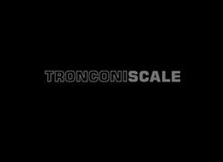 TRONCONI SCALE, Faenza orari di apertura